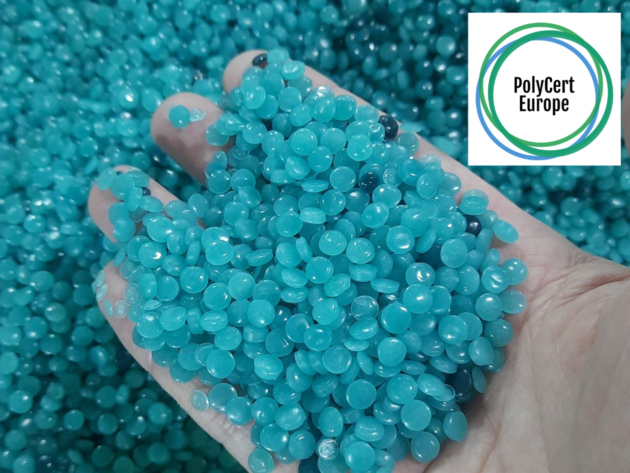 OCEAN GREEN PROFILES POLYCERT